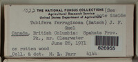 Image Associated With the Occurence